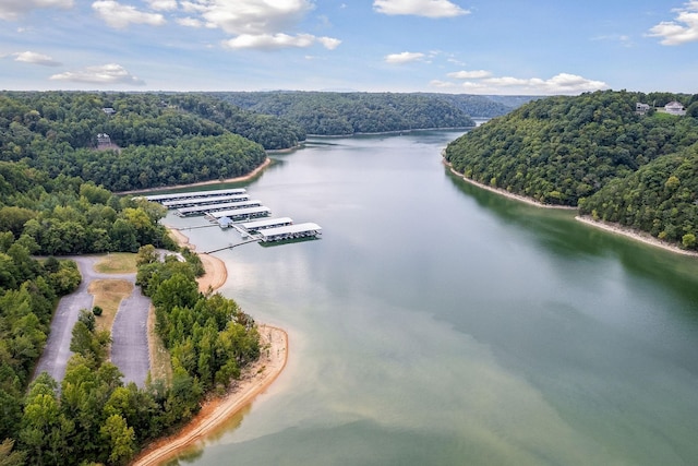 bird's eye view featuring a water view and a forest view