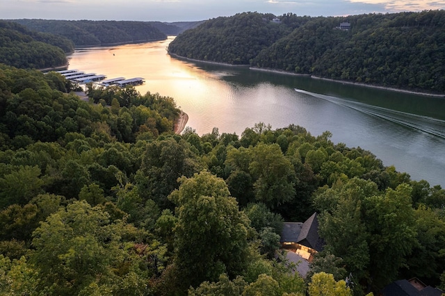 drone / aerial view with a water view and a forest view