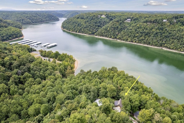 aerial view with a water view and a wooded view