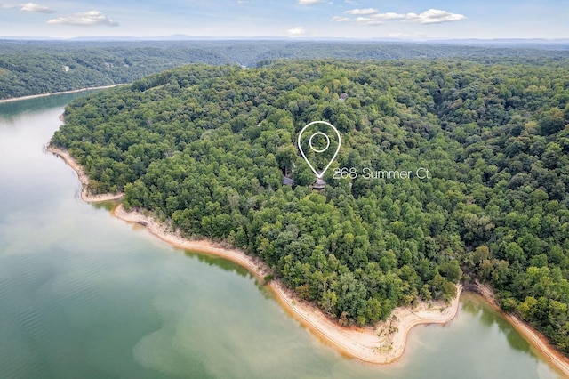 drone / aerial view with a water view and a view of trees