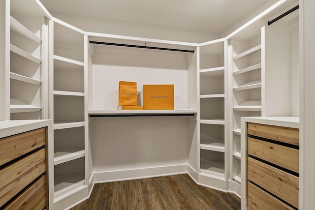 spacious closet featuring dark wood-type flooring