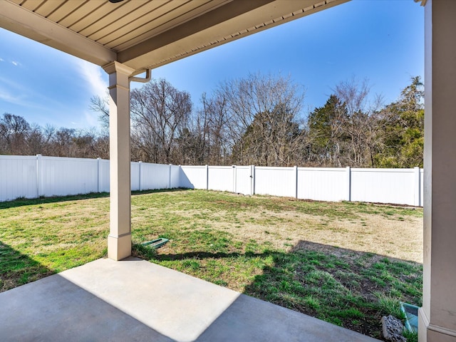 view of yard featuring a patio and a fenced backyard