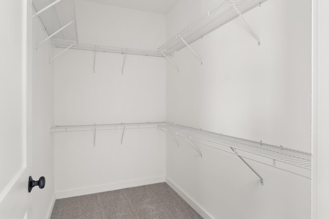 2383 Nelson Way, Cookeville, TN 38506 - walk in closet with carpet