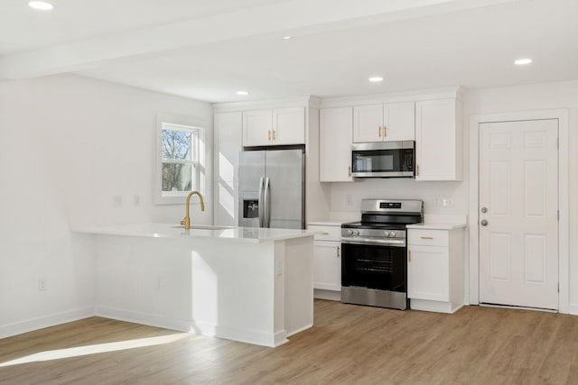 kitchen with light wood finished floors, light countertops, appliances with stainless steel finishes, and a sink