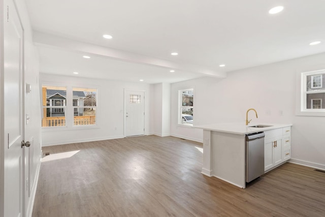 kitchen featuring wood finished floors, stainless steel dishwasher, plenty of natural light, and a sink