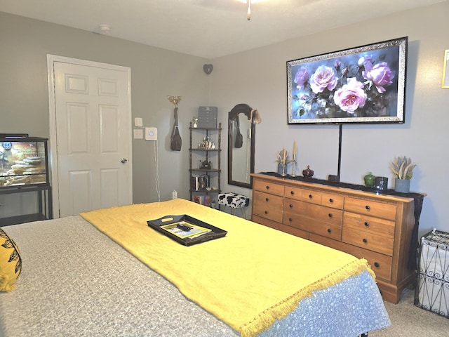 bedroom with carpet flooring