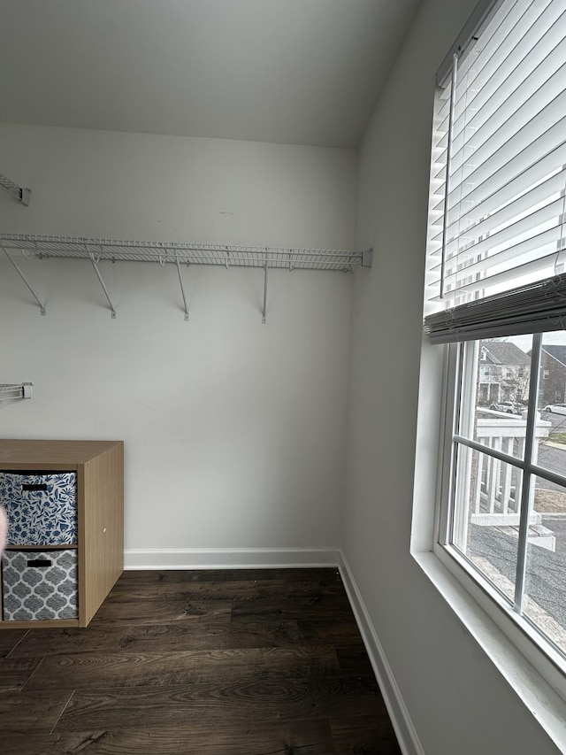 spacious closet with dark wood finished floors