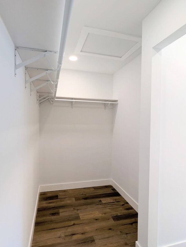 spacious closet featuring attic access and dark wood-style flooring