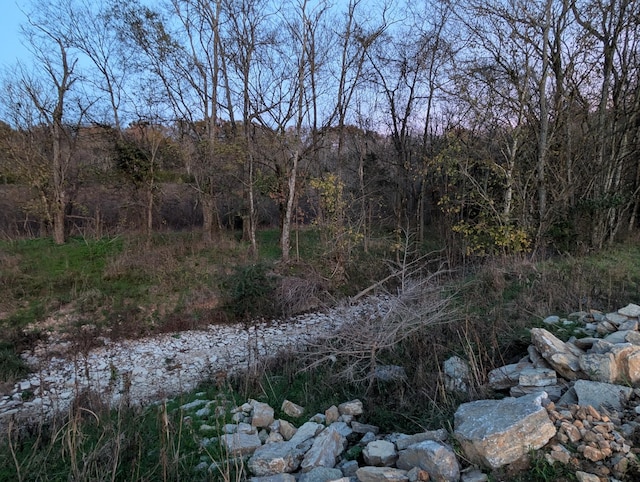 view of nature featuring a forest view