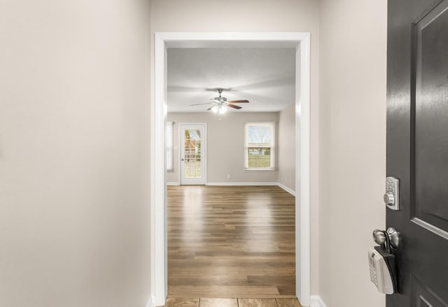 foyer entrance with ceiling fan, baseboards, and wood finished floors