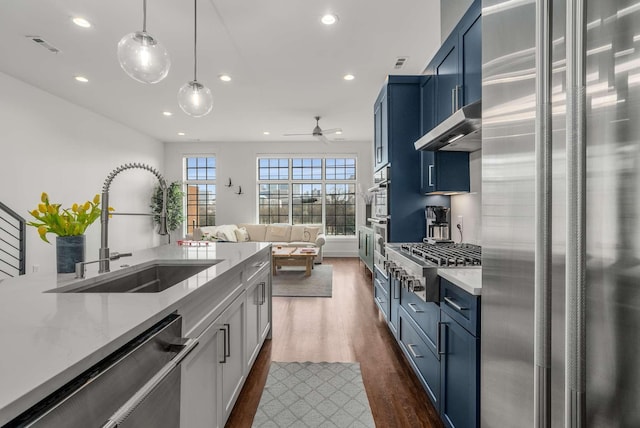 kitchen featuring under cabinet range hood, blue cabinetry, stainless steel appliances, and a sink