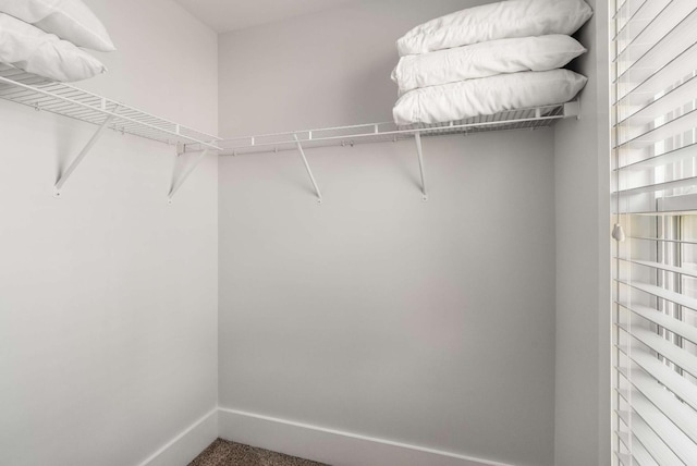 walk in closet with carpet