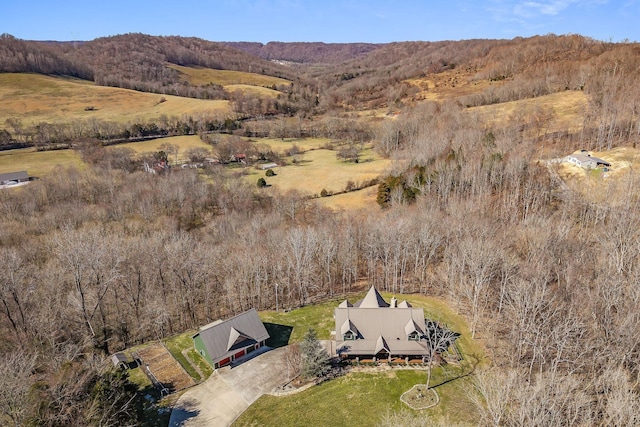 birds eye view of property featuring a mountain view