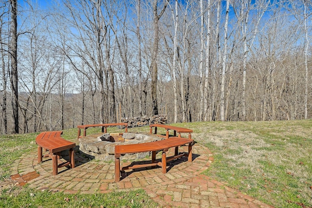 view of yard with a patio area and a view of trees