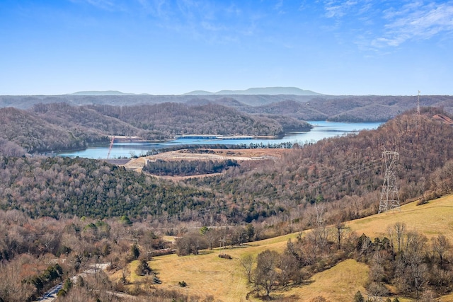 view of mountain feature with a water view and a view of trees