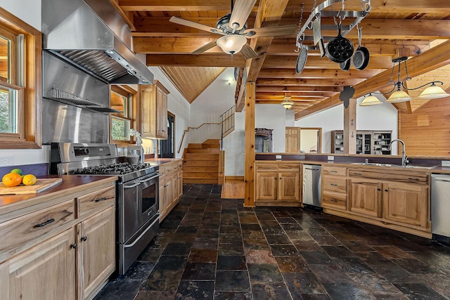 kitchen with a wealth of natural light, wooden ceiling, island exhaust hood, stainless steel appliances, and a sink