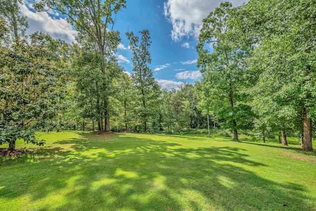 view of yard with a forest view