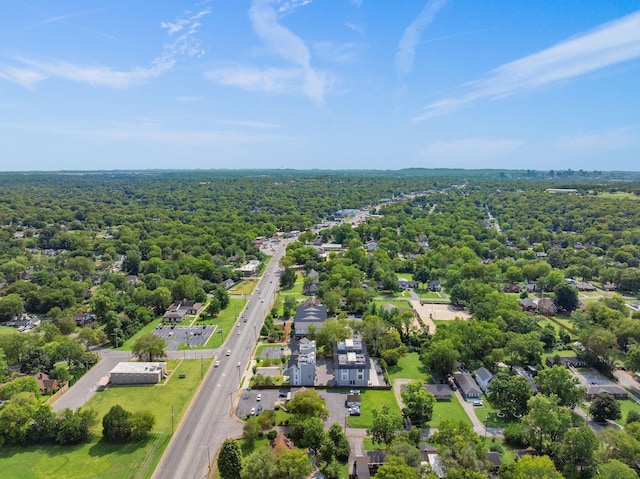 bird's eye view