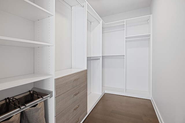 walk in closet featuring dark wood-style flooring