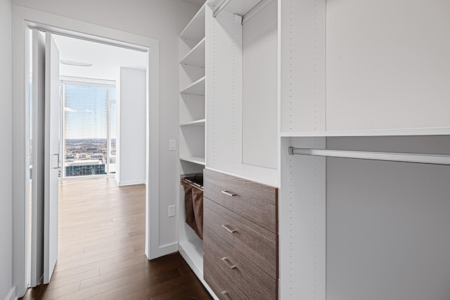 spacious closet with dark wood finished floors