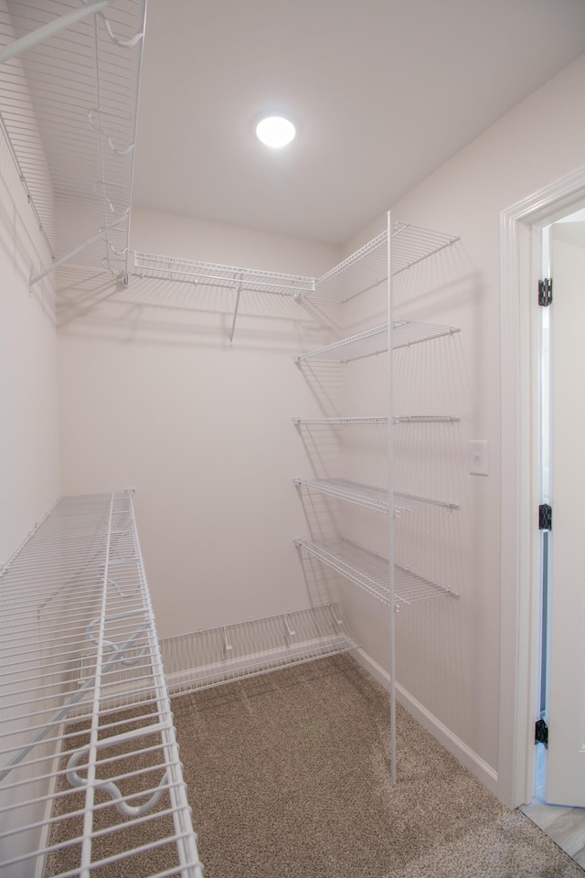 walk in closet with carpet floors