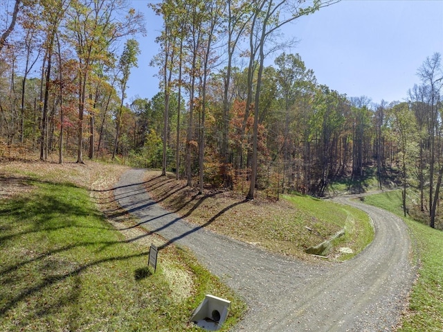 view of street with a wooded view