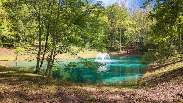 water view with a forest view