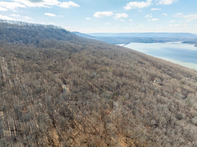 Listing photo 3 for 0 Scenic Dr, South Pittsburg TN 37380