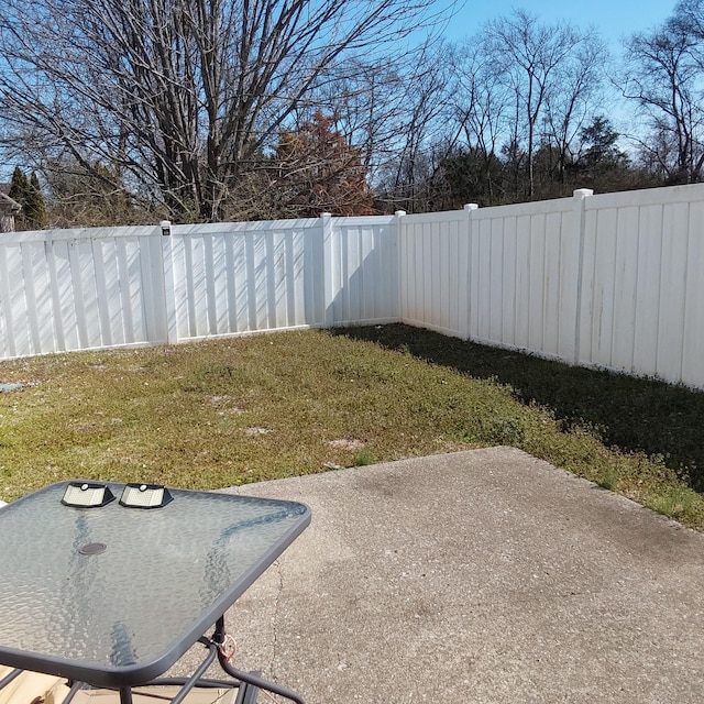 view of yard with a patio area and a fenced backyard