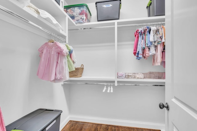 spacious closet with wood finished floors