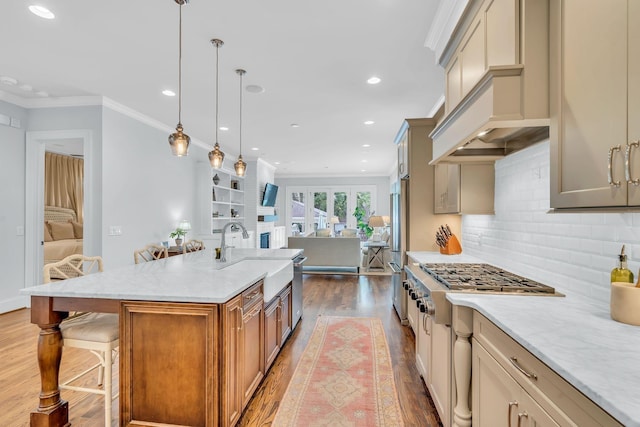 kitchen with dark wood-style floors, custom range hood, appliances with stainless steel finishes, ornamental molding, and a sink