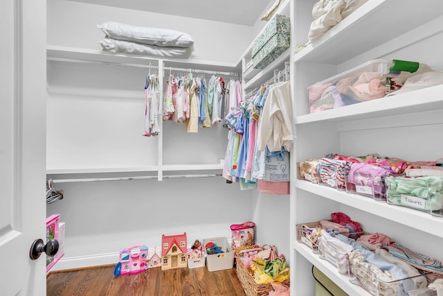 walk in closet featuring wood finished floors