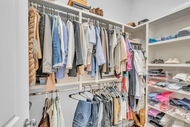 view of spacious closet