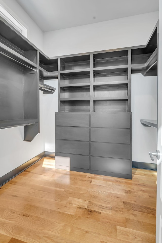 walk in closet with light wood-style flooring