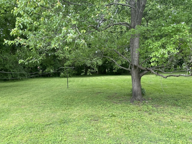 1915 Manchester Ave, Nashville, TN 37218 - photo 3