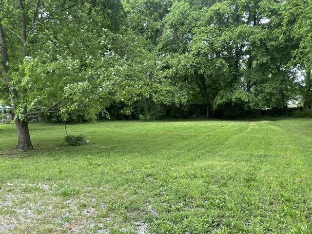 1915 Manchester Ave, Nashville, TN 37218 - photo 2