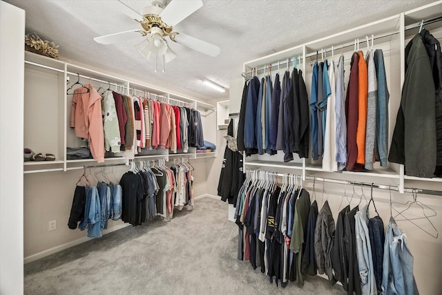 walk in closet with carpet flooring and ceiling fan