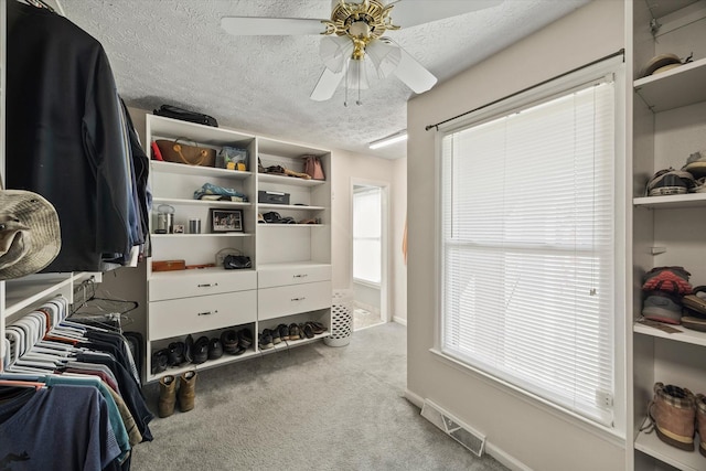 spacious closet with ceiling fan, carpet floors, and visible vents