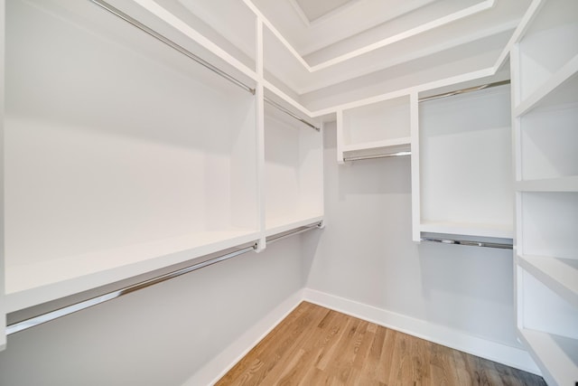 spacious closet with light wood finished floors