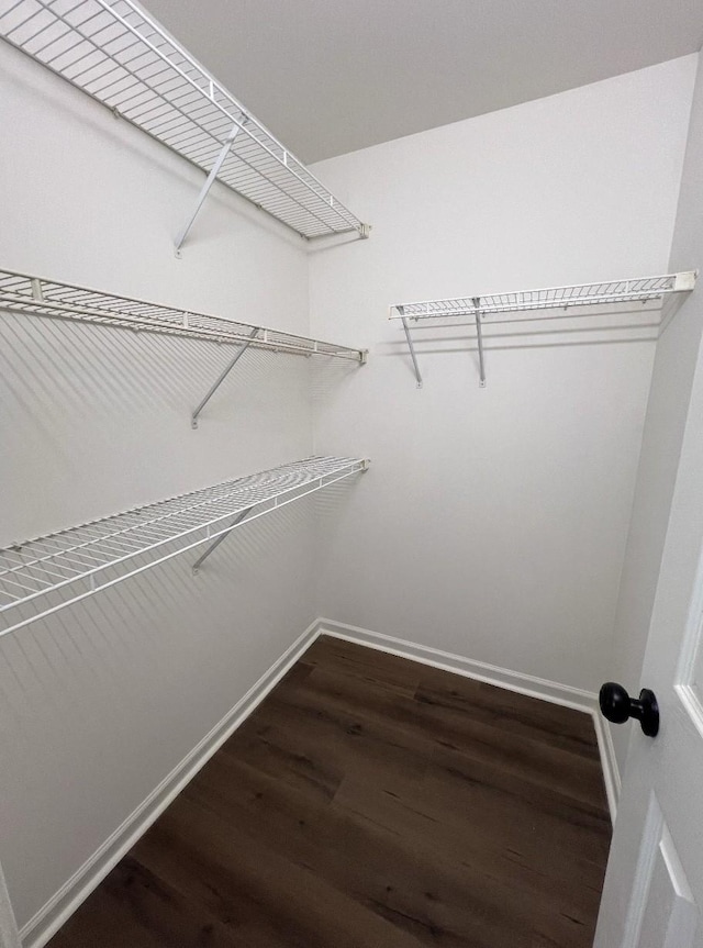 walk in closet with wood finished floors