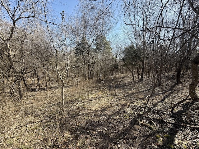 0 Epps Rd, Southside TN, 37171 land for sale