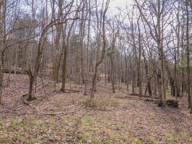 view of nature with a wooded view