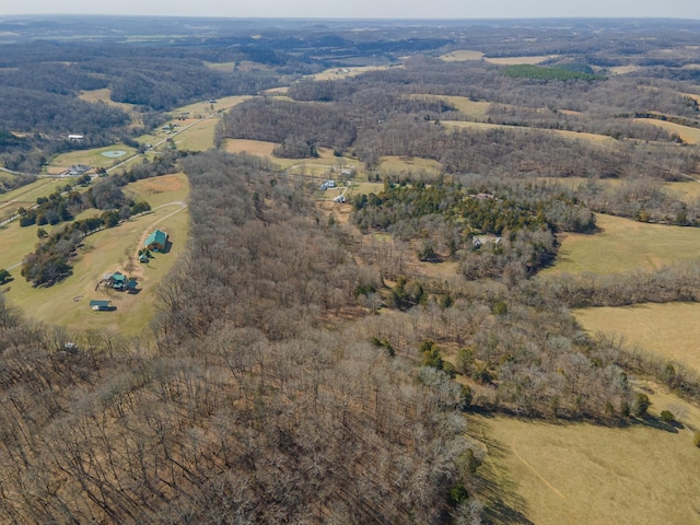 drone / aerial view featuring a rural view