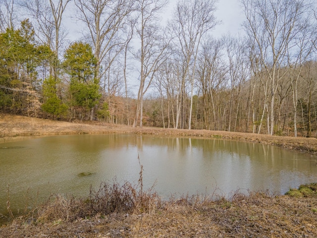 water view featuring a view of trees