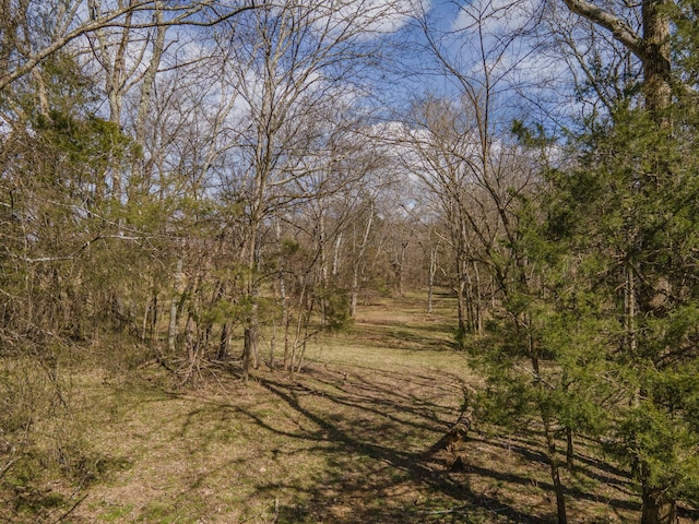 view of local wilderness