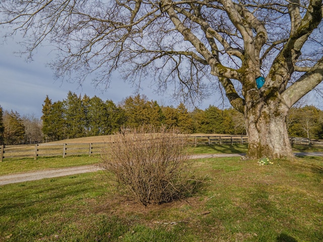 view of yard with fence and a rural view