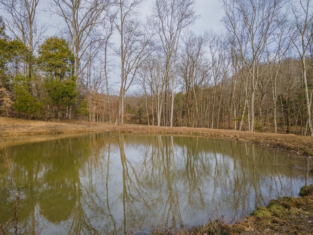 view of water feature with a wooded view