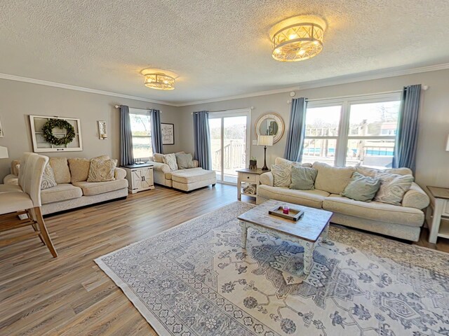 living room featuring crown molding, a textured ceiling, and wood finished floors