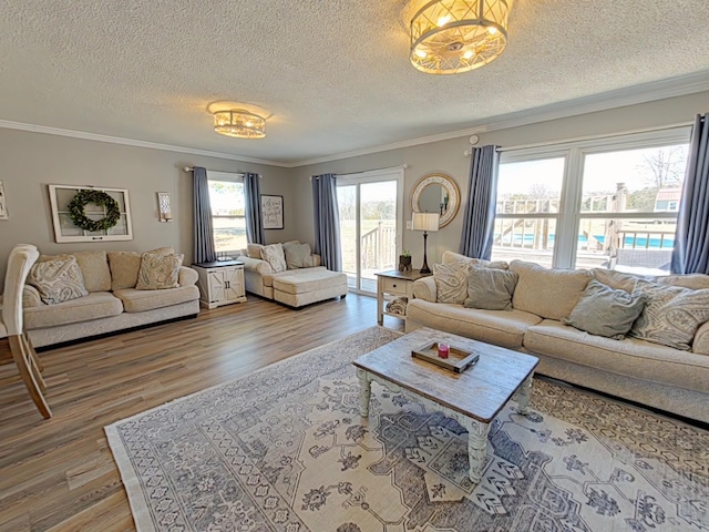 living room with ornamental molding, a textured ceiling, and wood finished floors