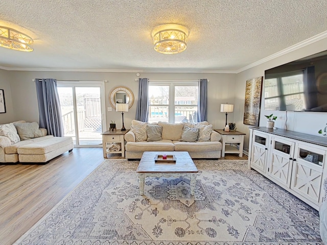 living room with ornamental molding, a textured ceiling, and wood finished floors